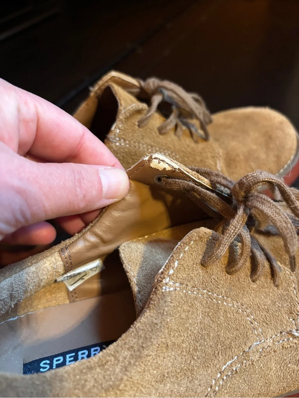 Sperry Kids Suede Lace-Up Shoes in Tan